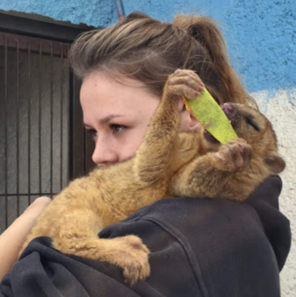 Meet your Posher, Elizabeth - Picture 1 of 1